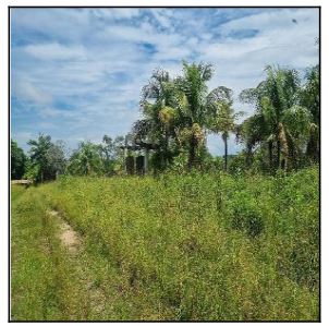 Terreno - Venda, CENTRO (SAMBAETIBA), ITABORAI, RJ